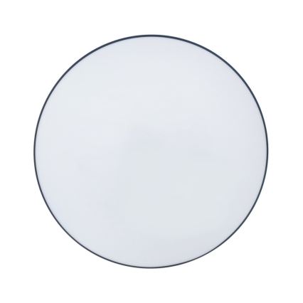 LED Kopalniška stropna svetilka CIRCLE LED/12W/230V 4000K pr. 25 cm IP44 črna