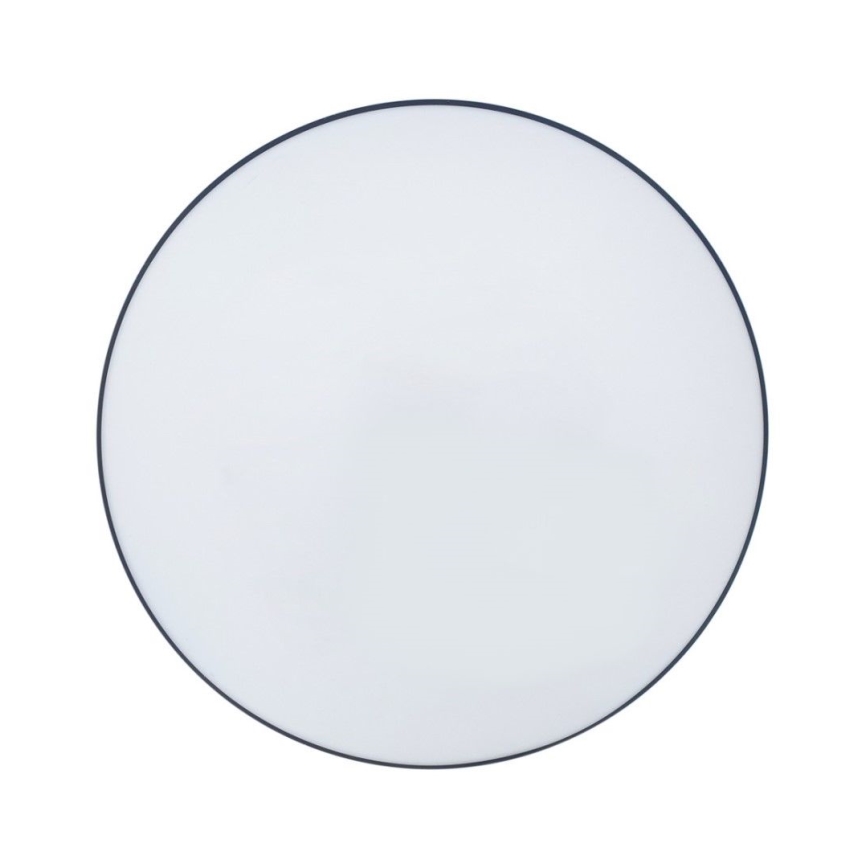 LED Kopalniška stropna svetilka CIRCLE LED/12W/230V 4000K pr. 25 cm IP44 črna