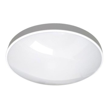 LED Kopalniška stropna svetilka CIRCLE LED/18W/230V 4000K pr. 30 cm IP44 bela