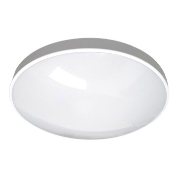 LED Kopalniška stropna svetilka CIRCLE LED/24W/230V 4000K pr. 37 cm IP44 bela