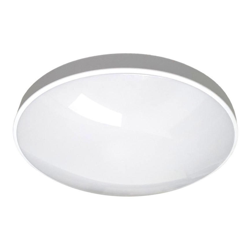 LED Kopalniška stropna svetilka CIRCLE LED/36W/230V 4000K pr. 45 cm IP44 bela