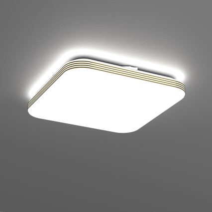 LED Kopalniška stropna svetilka DABAR LED/17W/230V 4000K 33x33 cm IP44