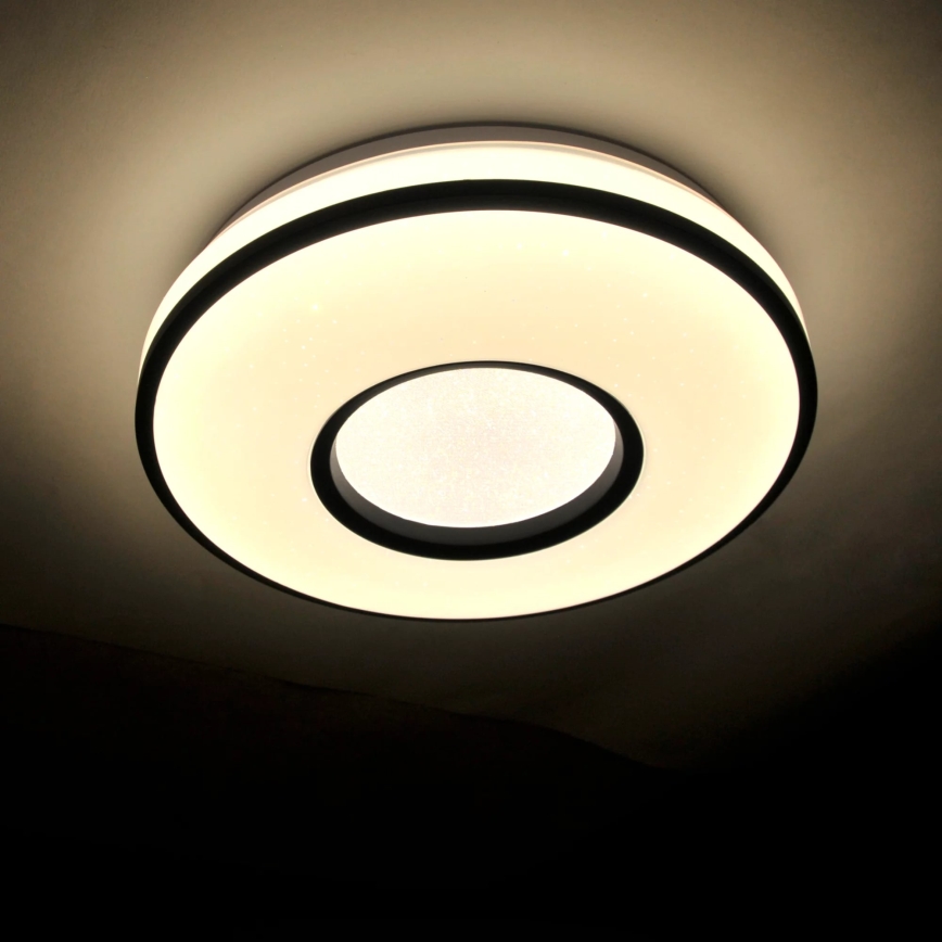 LED Kopalniška stropna svetilka DETROIT LED/24W/230V pr. 39 cm IP44