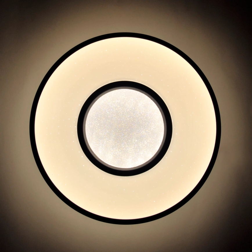 LED Kopalniška stropna svetilka DETROIT LED/24W/230V pr. 39 cm IP44