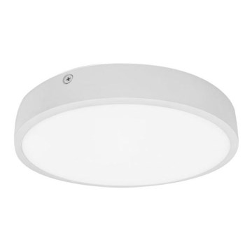 LED Kopalniška stropna svetilka EGON LED/16W/230V IP44 4000K