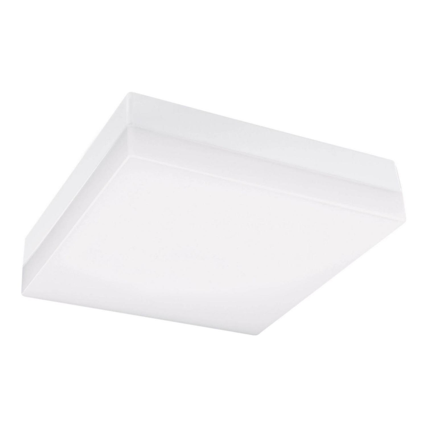 LED Kopalniška stropna svetilka LED/12W/230V 3000/4000/6000K 22x22 cm IP44