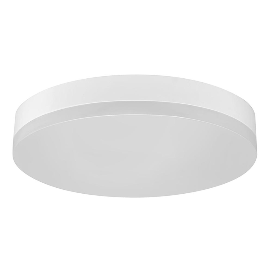 LED Kopalniška stropna svetilka LED/12W/230V