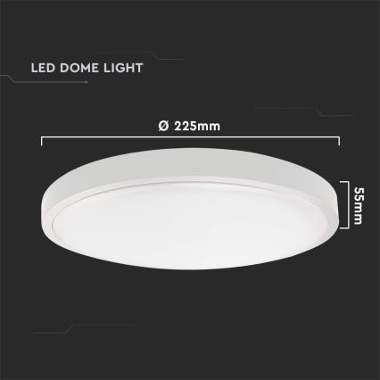 LED Kopalniška stropna svetilka LED/18W/230V 4000K IP44 bela