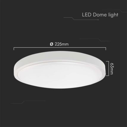 LED Kopalniška stropna svetilka LED/18W/230V 4000K IP44 pr. 22,5 cm bela