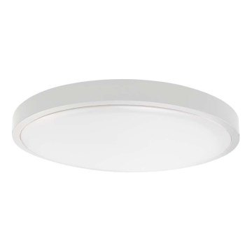 LED Kopalniška stropna svetilka LED/18W/230V 4000K IP44 pr. 22,5 cm bela