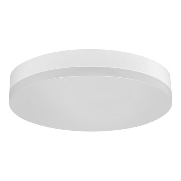 LED Kopalniška stropna svetilka LED/24W/230V 3000K pr. 28 cm IP44