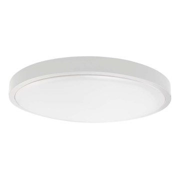 LED Kopalniška stropna svetilka LED/24W/230V 6500K IP44 bela