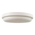 LED Kopalniška stropna svetilka LED/24W/230V 6500K IP54 pr. 24 cm