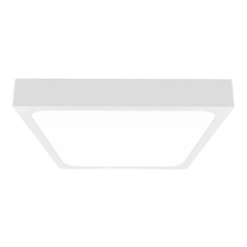 LED Kopalniška stropna svetilka LED/30W/230V 3000K IP44 42x42 cm bela