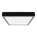 LED Kopalniška stropna svetilka LED/30W/230V 3000K IP44 42x42 cm črna