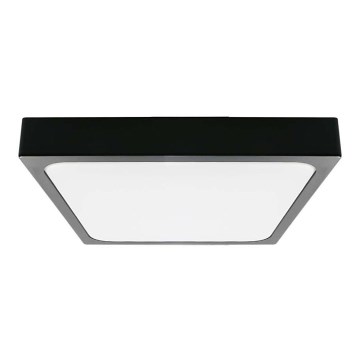 LED Kopalniška stropna svetilka LED/30W/230V 6500K IP44 črna