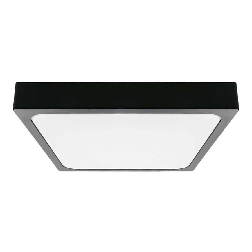 LED Kopalniška stropna svetilka LED/30W/230V 6500K IP44 črna