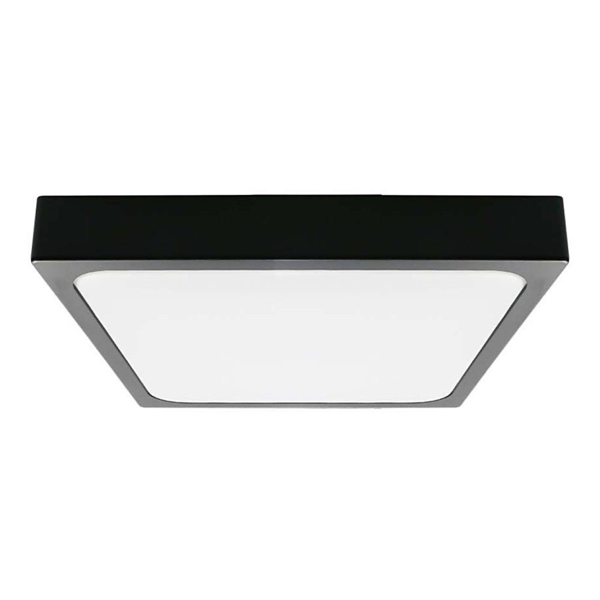 LED Kopalniška stropna svetilka LED/30W/230V 6500K IP44 črna