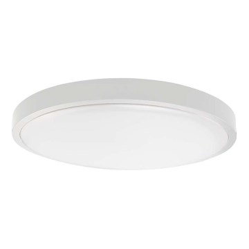 LED Kopalniška stropna svetilka LED/36W/230V 3000K IP44 bela