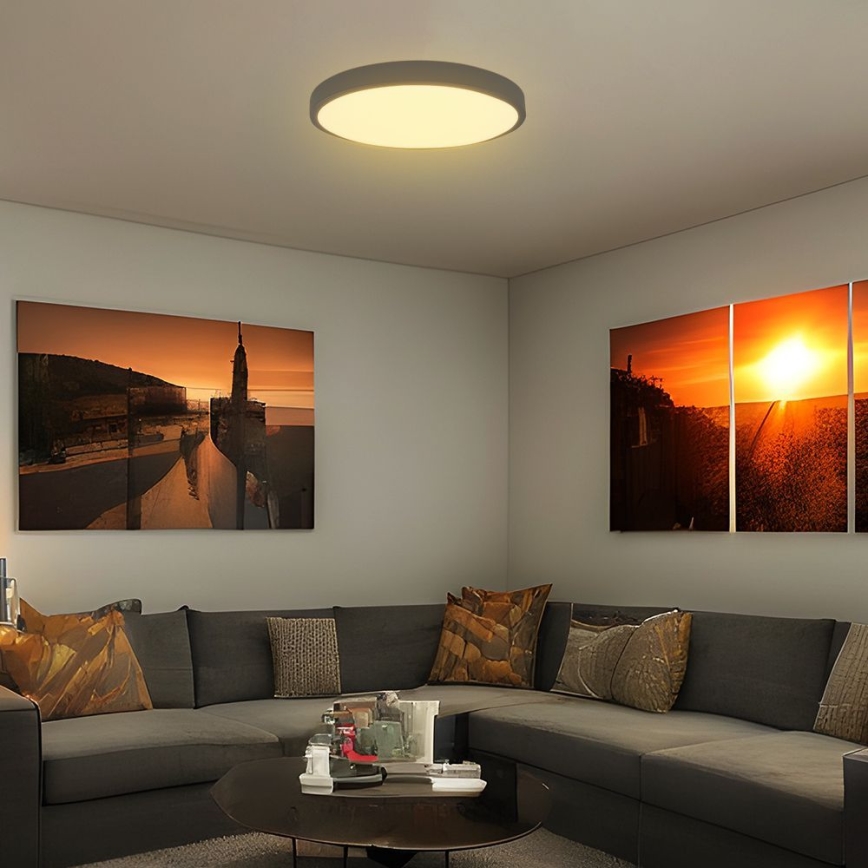 LED Kopalniška stropna svetilka SAMSUNG CHIP LED/36W/230V IP44 6500K pr. 35 cm črna