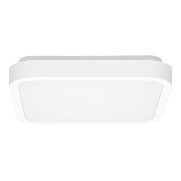 LED Kopalniška stropna svetilka LUKY LED/12W/230V 4000K 25x25 cm IP44 bela