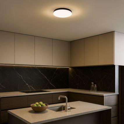 LED Kopalniška stropna svetilka MAYA LED/15W/230V pr. 33 cm IP44 črna