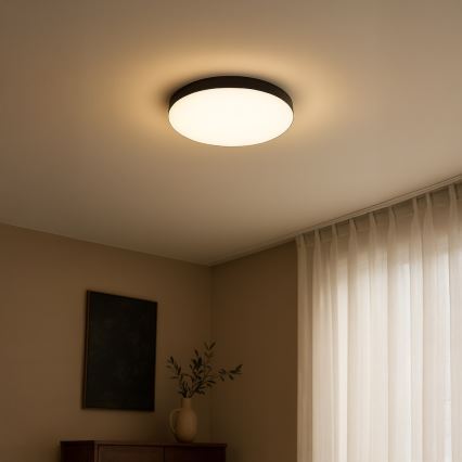 LED Kopalniška stropna svetilka MAYA LED/15W/230V pr. 33 cm IP44 črna