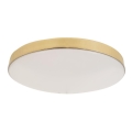 LED Kopalniška stropna svetilka MAYA LED/15W/230V pr. 33 cm IP44 zlata