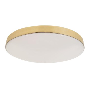 LED Kopalniška stropna svetilka MAYA LED/15W/230V pr. 33 cm IP44 zlata