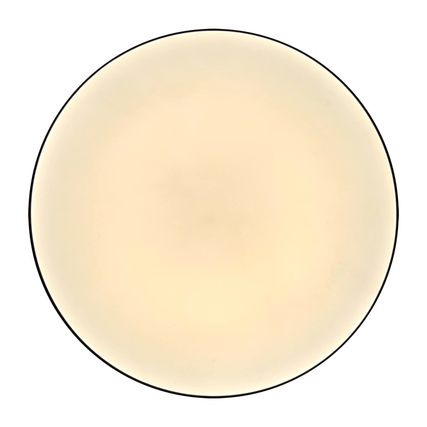 LED Kopalniška stropna svetilka MOON LED/18W/230V črna IP44