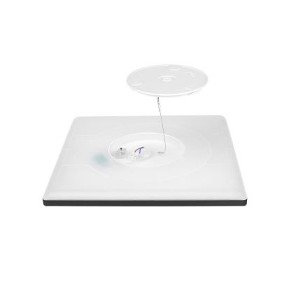LED Kopalniška stropna svetilka NIVERA LED/12W/230V IP54 3000/4000/6000K 22,5x22,5 cm črna