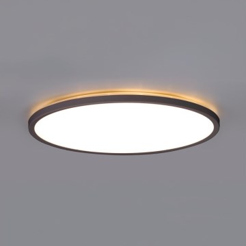 LED kopalniška stropna svetilka NIVERA LED/18W/230V IP54 3000/4000/6000K premer 30 cm črna
