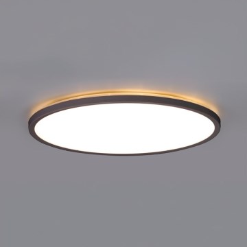 LED kopalniška stropna svetilka NIVERA LED/24W/230V IP54 3000/4000/6000K premer 30 cm črna