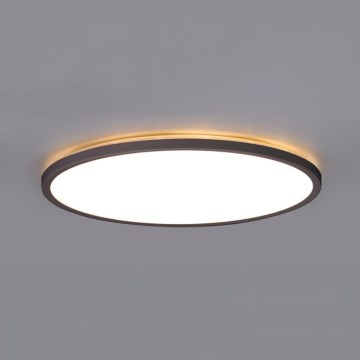 LED Kopalniška stropna svetilka NIVERA LED/32W/230V IP54 3000/4000/6000K pr. 42 cm črna