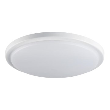 LED Kopalniška stropna svetilka ORTE LED/24W/230V IP54