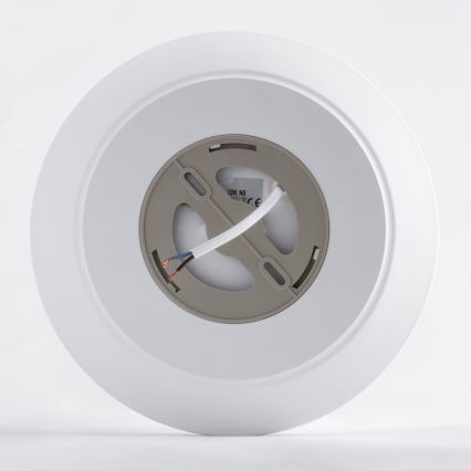 LED Kopalniška stropna svetilka s senzorjem AVESTA LED/12W/230V 4000K IP54