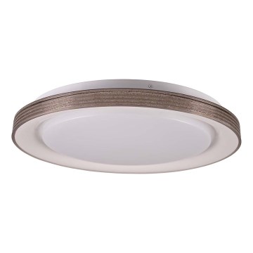 LED Kopalniška zatemnitvena stropna svetilka GRAŻYNA LED/48W/230V 3000-6000K pr. 41 cm IP44 siva + Daljinski upravljalnik