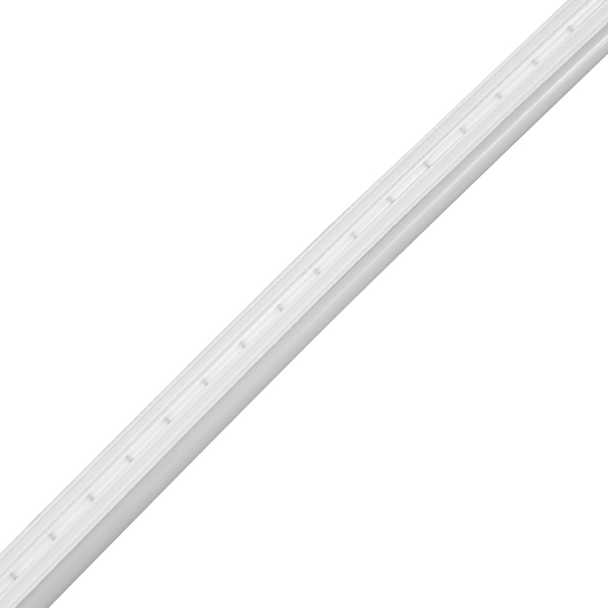 LED Kopalniški trak NEON EKO-FLEX LED/250W/12V 4000K IP65 25m bela