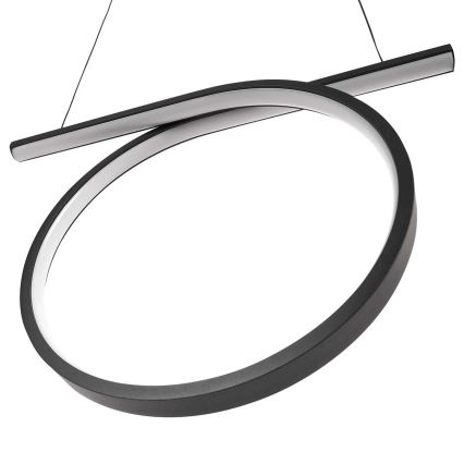 LED lestenec na jeklenem lanku ODETTA LED/30W/230V 4000K črna