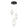 LED lestenec na jeklenem lanku PELLUCID LED/20W/230V bronasta/črna