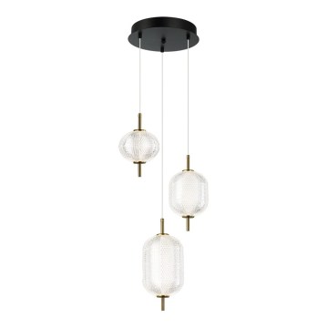 LED lestenec na jeklenem lanku PELLUCID LED/20W/230V bronasta/črna