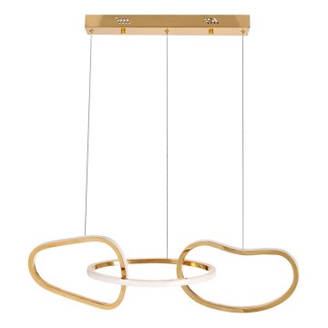 LED lestenec na kablu ANNELI LED/30W/230V 80 cm v zlati barvi