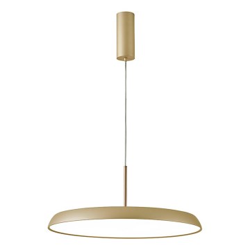 LED lestenec na kablu ART LED/41W/230V zlata