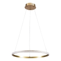 LED Lestenec na kablu DIANA LED/25W/230V 4000K premer 50 cm zlata