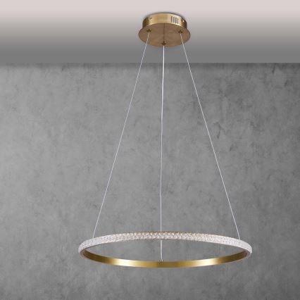 LED Lestenec na kablu DIANA LED/25W/230V 4000K premer 50 cm zlata