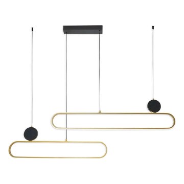 LED lestenec na kablu FLORENTYNA LED/48W/230V 4000K zlata/črna