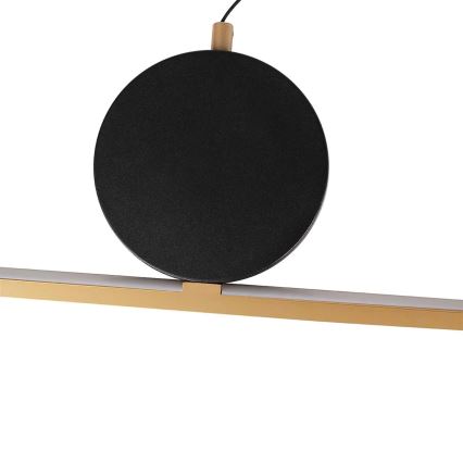 LED lestenec na kablu FLORENTYNA LED/48W/230V 4000K zlata/črna