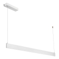 LED lestenec na kablu LINEA LED/36W/230V 3000/4000/5700K CRI 90 bela