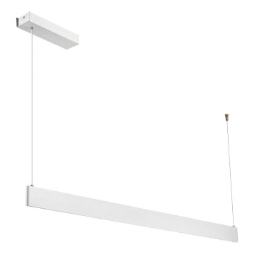 LED lestenec na kablu LINEA LED/36W/230V 3000/4000/5700K CRI 90 bela