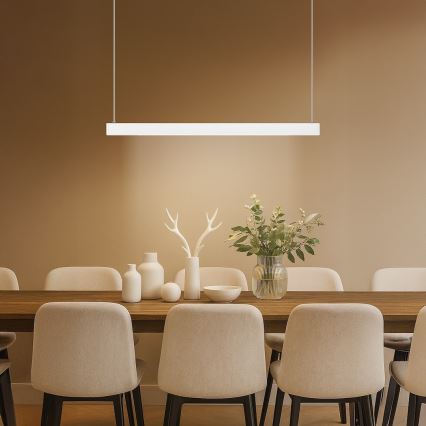 LED lestenec na kablu LINEA LED/36W/230V 3000/4000/5700K CRI 90 bela